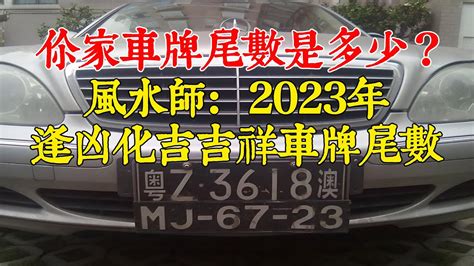 屬龍車牌號碼|十二生肖車牌號碼吉凶數字